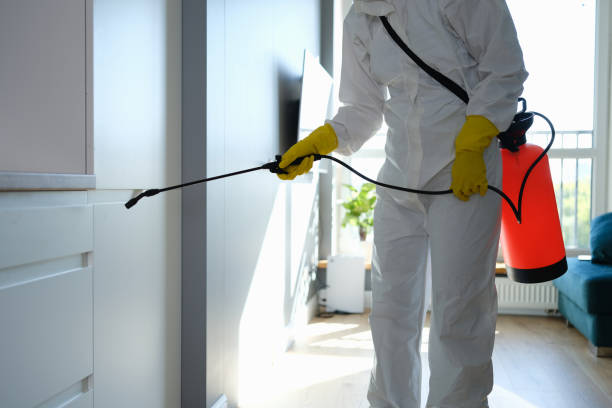 Best Residential Mold Removal  in Luna Pier, MI
