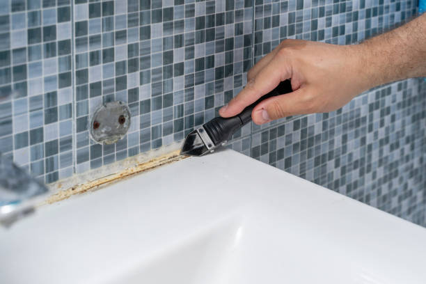 Best Water Damage Restoration  in Luna Pier, MI
