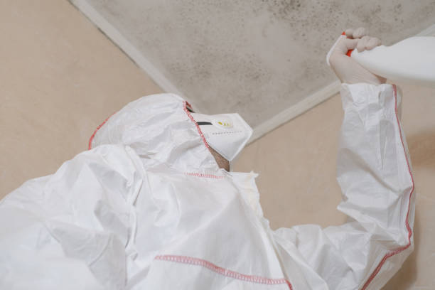 Best Professional Mold Removal  in Luna Pier, MI