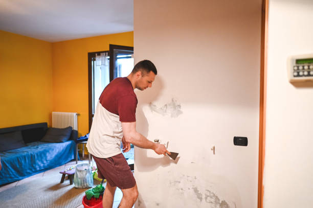 Best Toxic Mold Removal  in Luna Pier, MI
