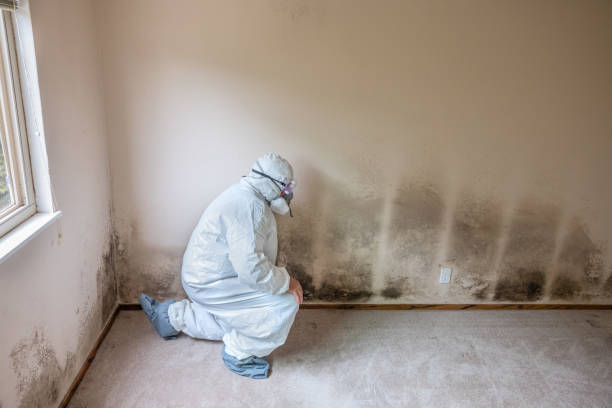 Best Mold Testing  in Luna Pier, MI