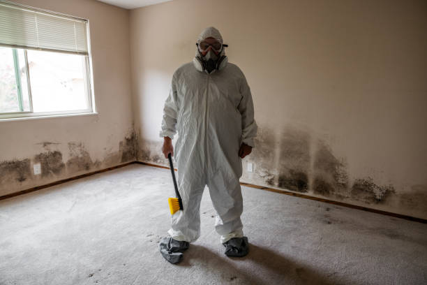 Best Emergency Mold Removal  in Luna Pier, MI